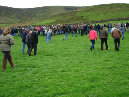 Setting off to see the cattle